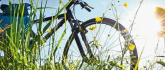 Городской велосипед или горный: плюсы и минусы