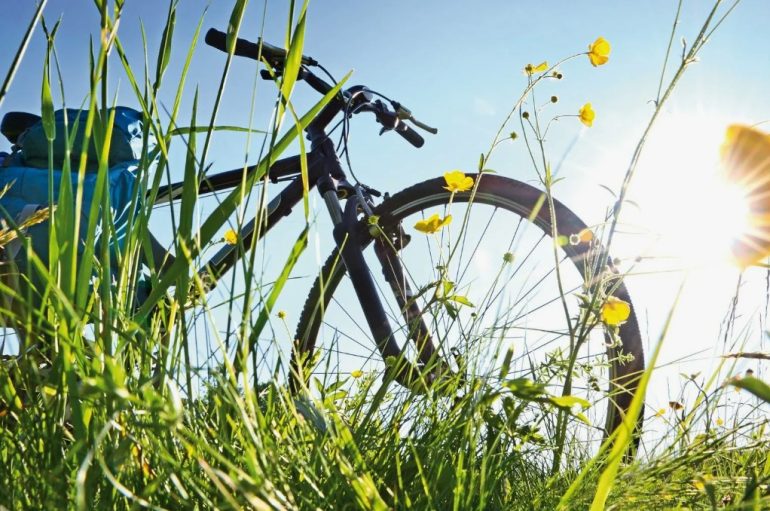 Городской велосипед или горный: плюсы и минусы